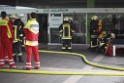 Feuer Zoo Aquarium Koeln Riehl P12